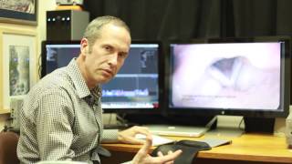 Basic Laryngology: Mind the Gap — Part 4