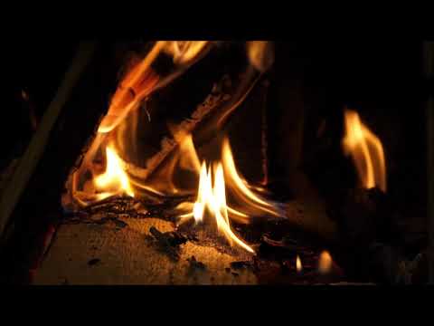 Die Schöpfungsordnung Gottes