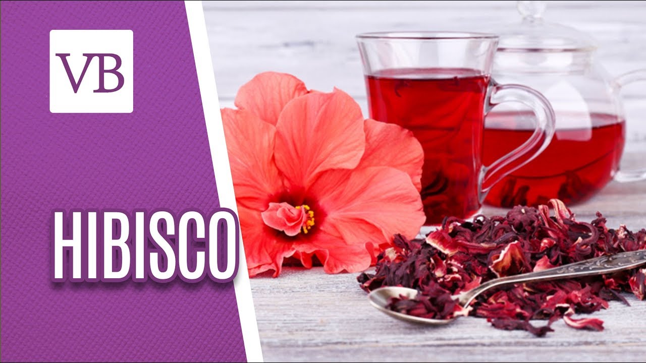 Hibisco: Benefícios e Propriedades Nutricionais - Você Bonita (01/06/18)