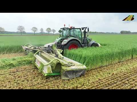 Gras bzw. Grünroggen mähen Agrarservice Einsatz für die Landwirtschaft Traktor Fendt & Claas Mähwerk