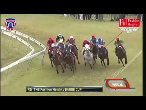 13eme journée - race 6 - Frosted Gold