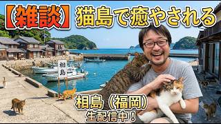【外配信】猫島からの長浜ドラゴンでラーメン