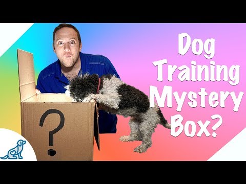 Online Dog Training For Free! - Professional Dog Training Tips ...