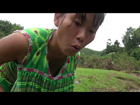 Primitive Fishing Skills Catch Big Fish At River - Cooking Delicious Fish For Food