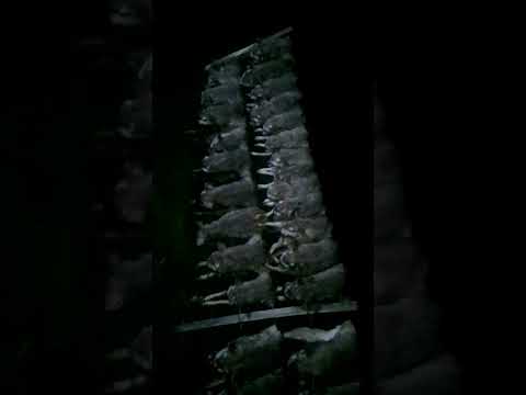 villa sarmiento Córdoba