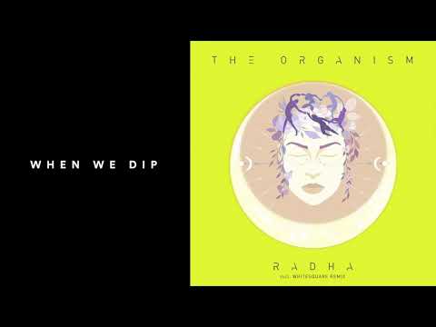 Premiere: The Organism - Radha [Organic Tunes]