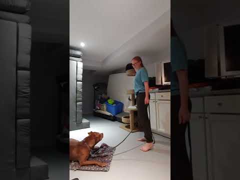 Eloise with cat - Aug 7th