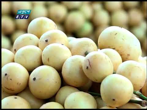 লটকন আবাদে পাল্টে গিয়েছিল নরসিংদীর চাষীদের অর্থনৈতিক চিত্র