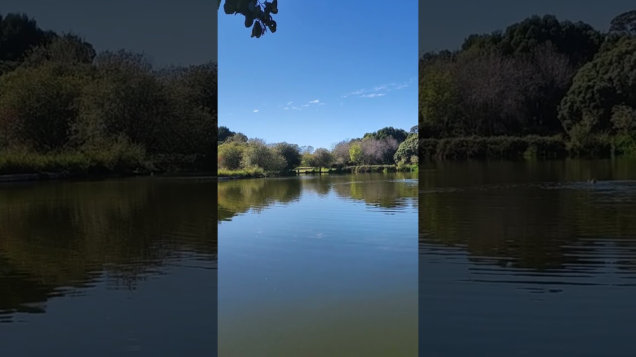 YouTube Short thumbnail