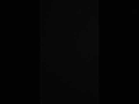 vida mia tango nuevo