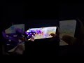 PAGAL M10 HANDCAM ️ Shorts Viral Freefire Handcam Pagalm10