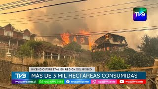 Incendio Forestal en el Gran Concepción ha consumido más de tres mil hectáreas, y se mantiene activo
