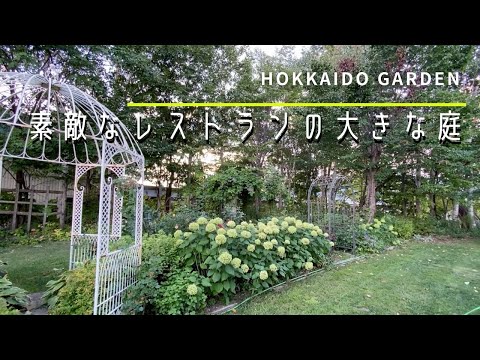 鉢植えや庭でプルメリアの世話をする: 冒険、香水、ケーキの美しい物語で彩られた短いガイド  庭園