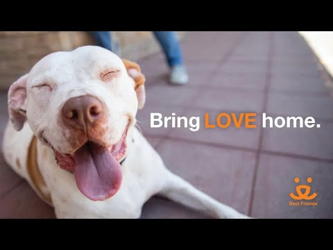 Bring Love Home public service announcement - reintroduced