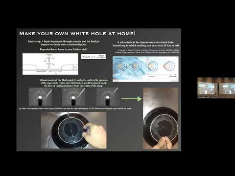 Niels Bohr Colloquium - Stefano Liberati - Analogue Gravity