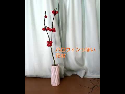 2024年春の剪定の時期にラズベリーの吸盤を植えることはできますか？