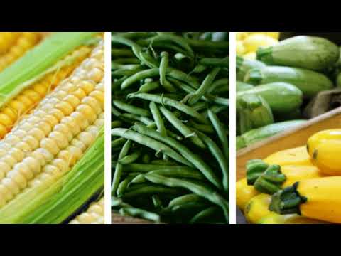 The Seminole of the Southeast