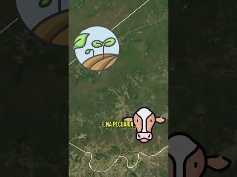 🌿 Às margens do rio Buriti, no nordeste do Maranhão, está São Bernardo. #SãoBernardoMA#RotaEmoções