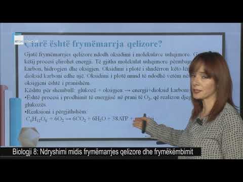 Biologji 8 - Ndryshimi midis frymëmarrjes qelizore dhe frymëkëmbimit