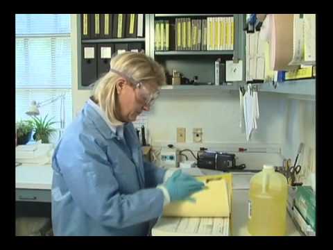 PREMIER Orientation To Lab Safety DEMO.wmv