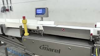Marel Compact Grader CG 60 sorting machine for sale - Image 4 | Machineryline KE Marel Compact Grader CG 60 sorting machine | Image 4 - Machineryline
