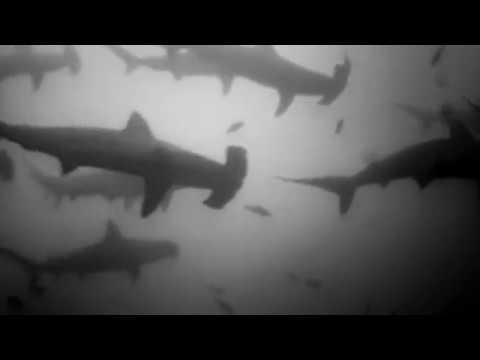 MANIZHA - ИНОГДА | MANIZHA & BUSHE CONTEST