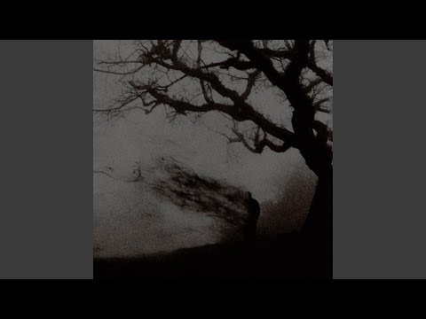 2hunnid (feat. ybn blick)