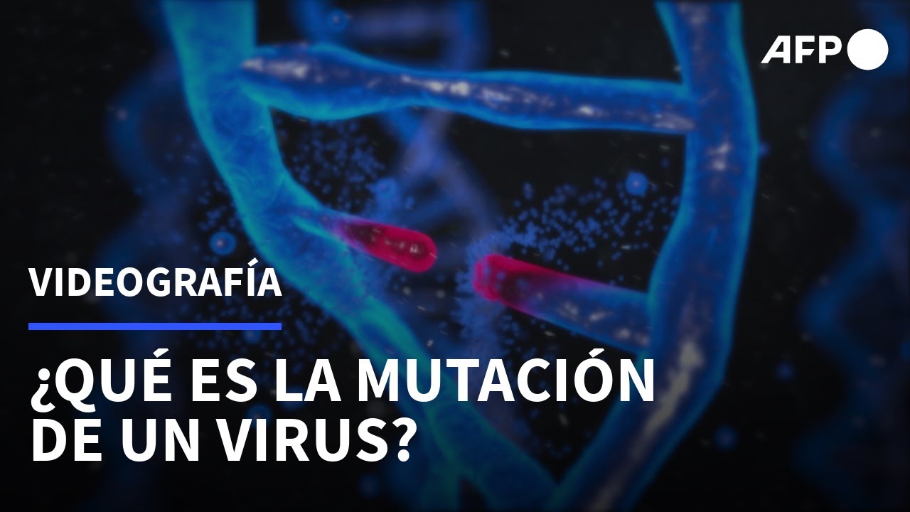 ¿Qué es la mutación de un virus? | AFP