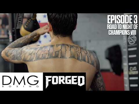DMG BOXING FORGED | Episode 3: Road to Night of Champions VIII