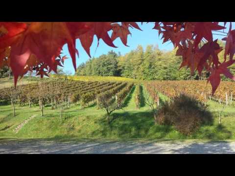 La Valle - Nervesa della Battaglia - Italy