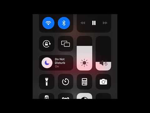 Dj Dwight stone and Dj Cummins