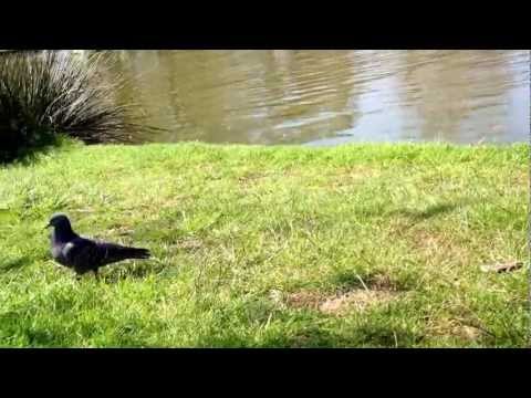 Parc borely - Marseille 8éme arrondissment - Plus belle la vie