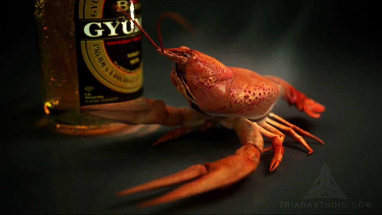Beer Gumri