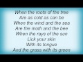 Devendra Banhart - Roots Lyrics