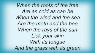 Devendra Banhart - Roots Lyrics