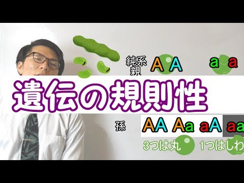 ペロダイトについて詳しく解説