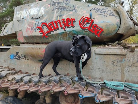 Panzerwald und Training Umgang mit neuer Ausrüstung
