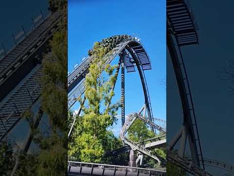 PRECIPITARE SUL RAPTOR GARDALAND