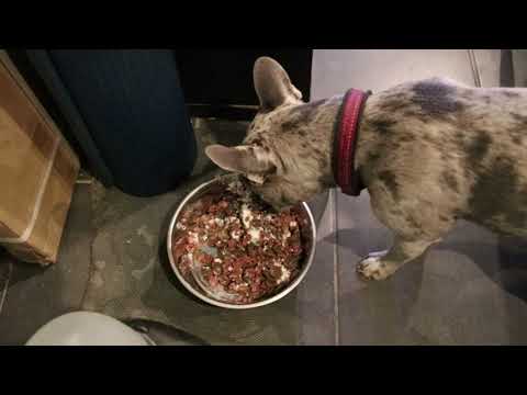 Fellbox August | Carries kleine Welt