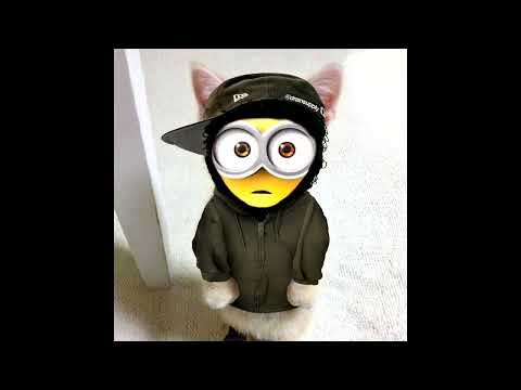 [FREE] MAYOT x BUSHIDO ZHO x SEEMEE - Morffin Type Beat (prod by spooky x slaaash)