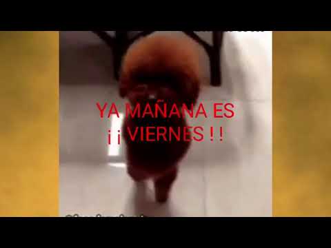 I morgen er det fredag! :)