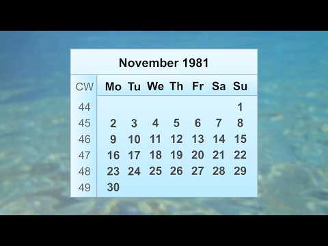 November 1981 Calendar