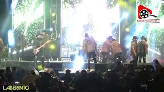 EL ÁRBOL DE LA HORCA  -  GRUPO LABERINTO