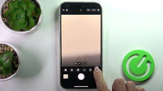 How to Activate Camera Timer on iPhone 14 Pro Max