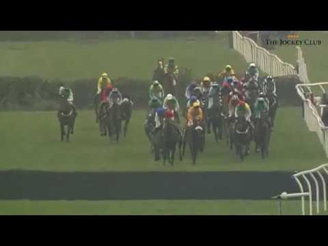 Classic Grand National No. 3 - Papillon (2000)