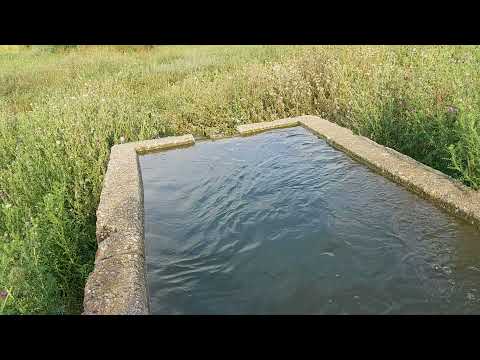 Ceairul din Băneasa Teleorman