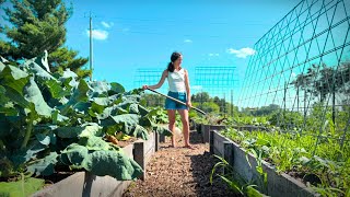 Simple Tasks YOU Can Do In Your Garden for BIGGER HARVESTS