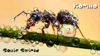 Karma - Sonic Swirl (Kobyashi Mix) ·1998·