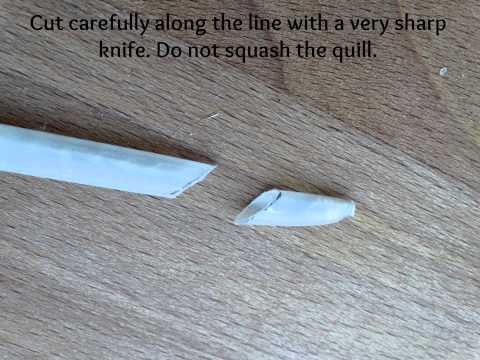 How to make a quill pen