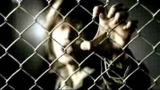 JUNE -  Pride of Tomorrow